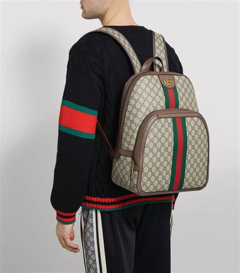 Gucci Ophidia Backpack Beige .